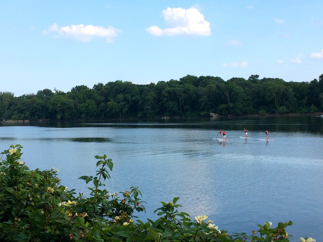 paddleboaters on the Potomac Washington DC